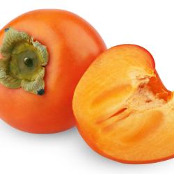 persimmon