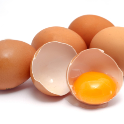 eggs